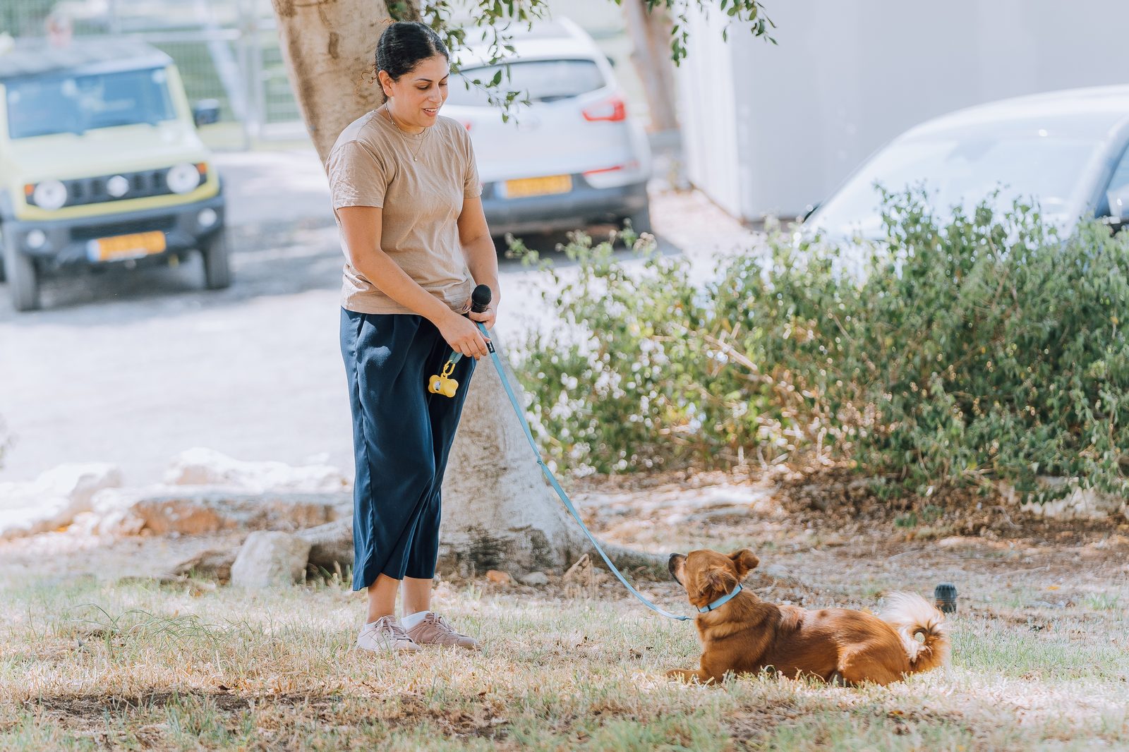 בר עם כלב לקוח, עבודה בשטח