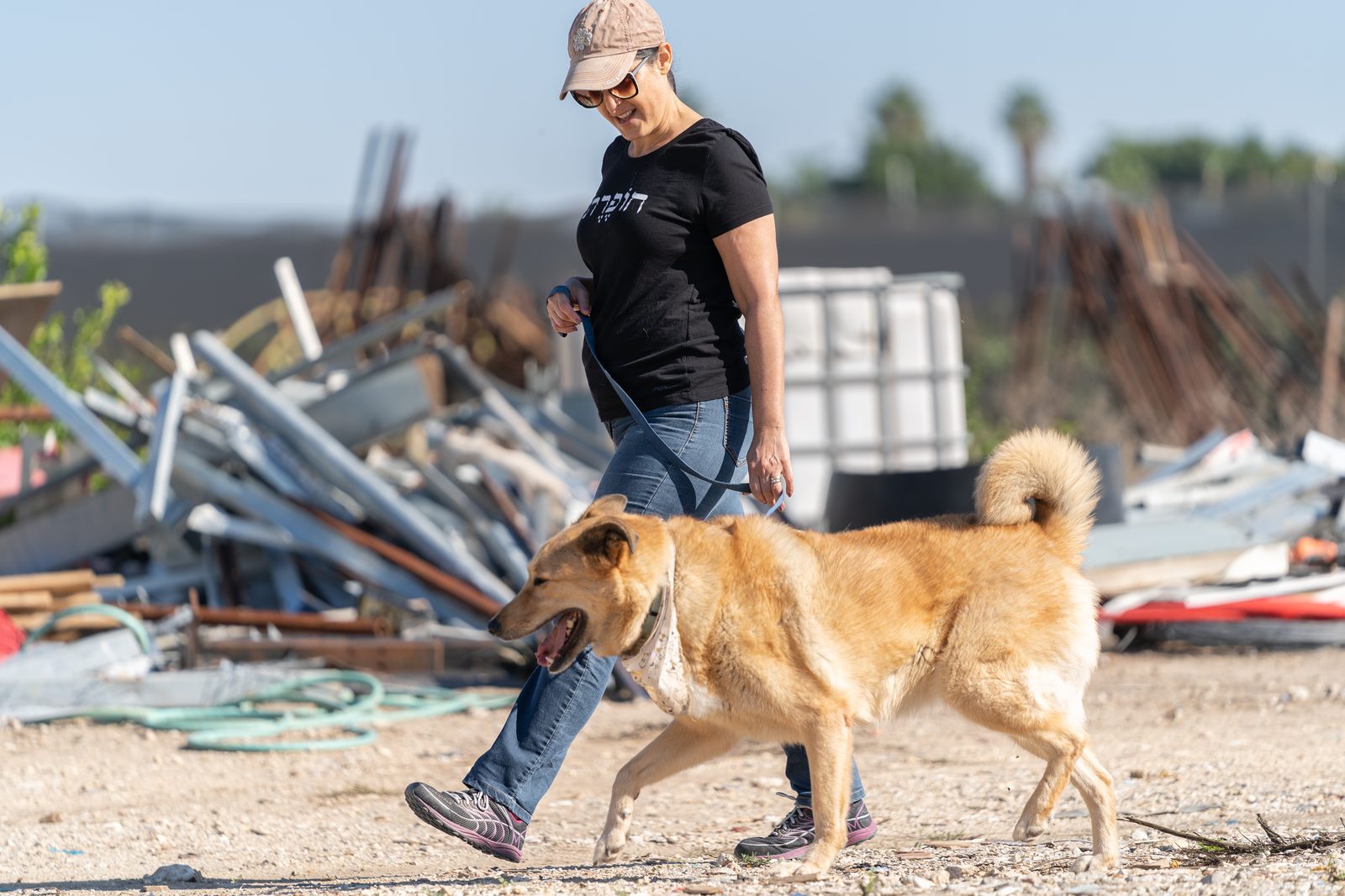 טיול רגוע עם כלב